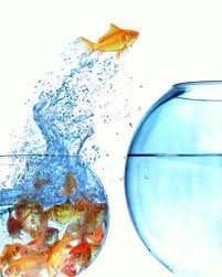 Шесть способов создания новой отрасли