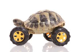 105 фактов из управления инновационными проектами [опрос мнений]