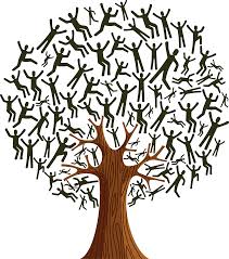 Менеджеры по инновациям предпочитают диверсифицировать состав научно-исследовательского коллектива